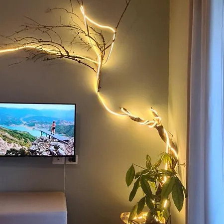 La Comfy Ap Saranda