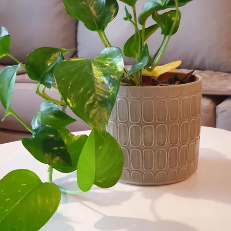 La Comfy Ap Apartamento