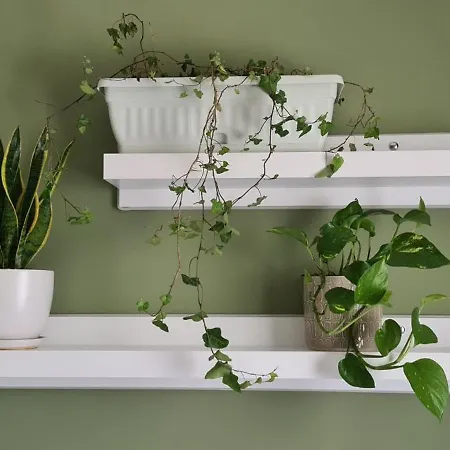 Apartamento La Comfy Ap *