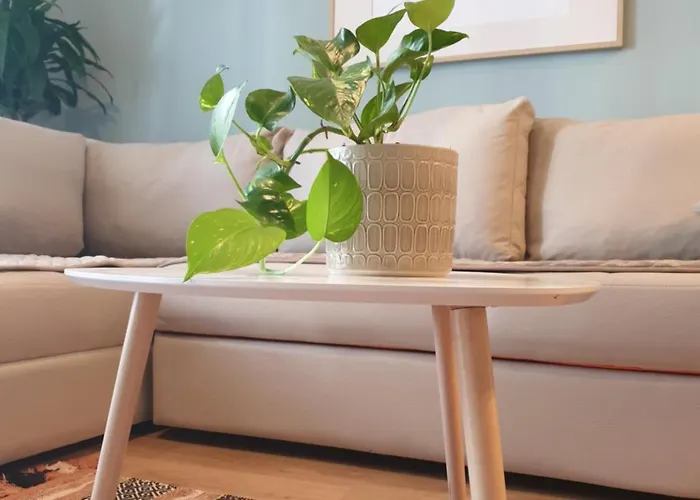 La Comfy Ap * Sarandë