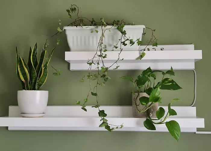 Appartamento La Comfy Ap *